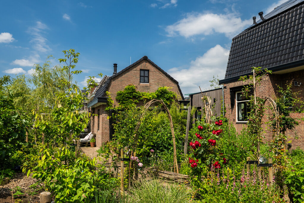 Guesthouse rotterdam, bed and breakfast rotterdam, bed and breakfast, accomodatie, guesthouse, gastenverblijf, vakantie rotterdam, vakantiehuisje rotterdam, vakantiehuisje, vakantiehuis, wedding night, huwelijksnacht